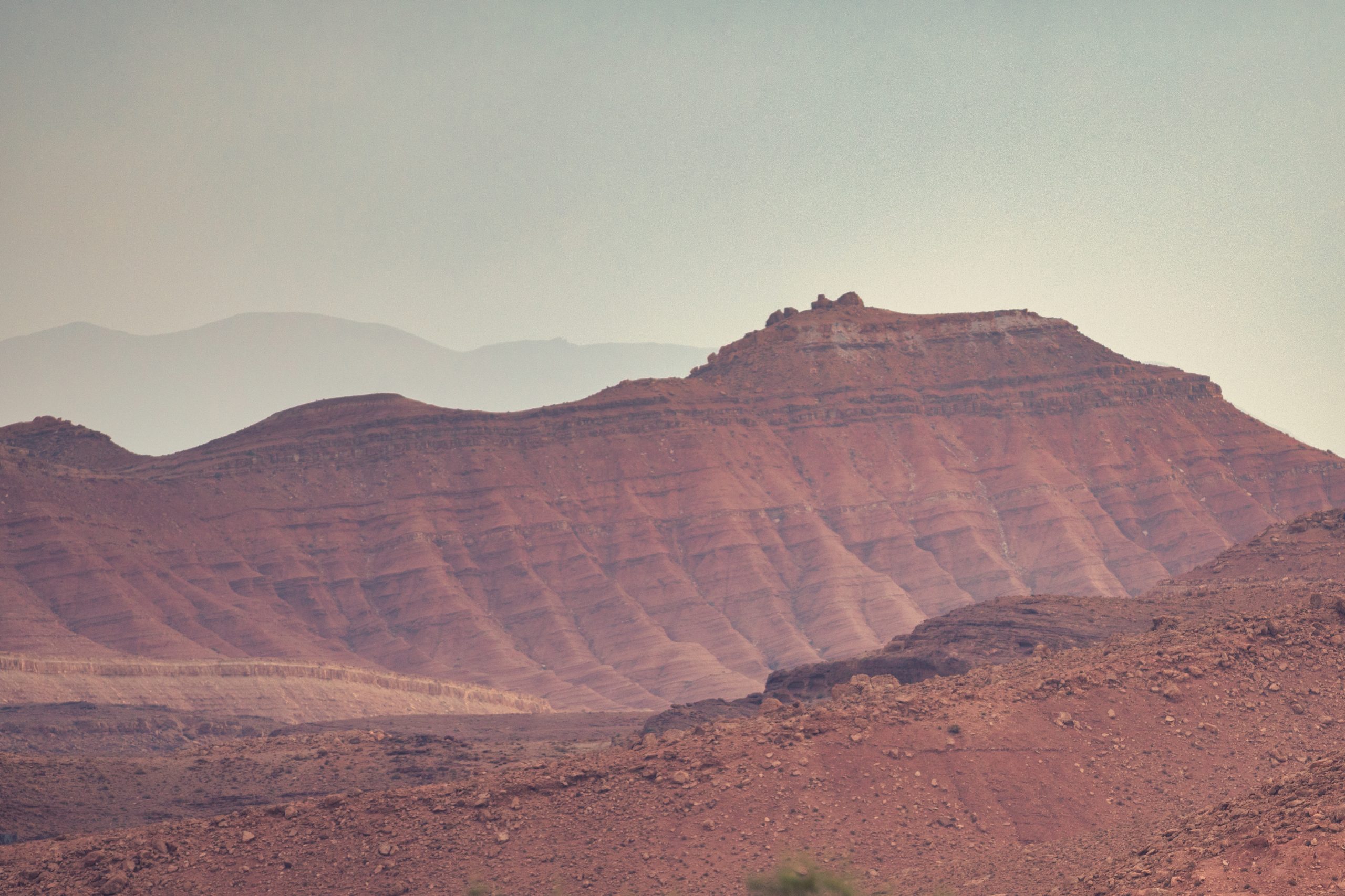 desert scaled
