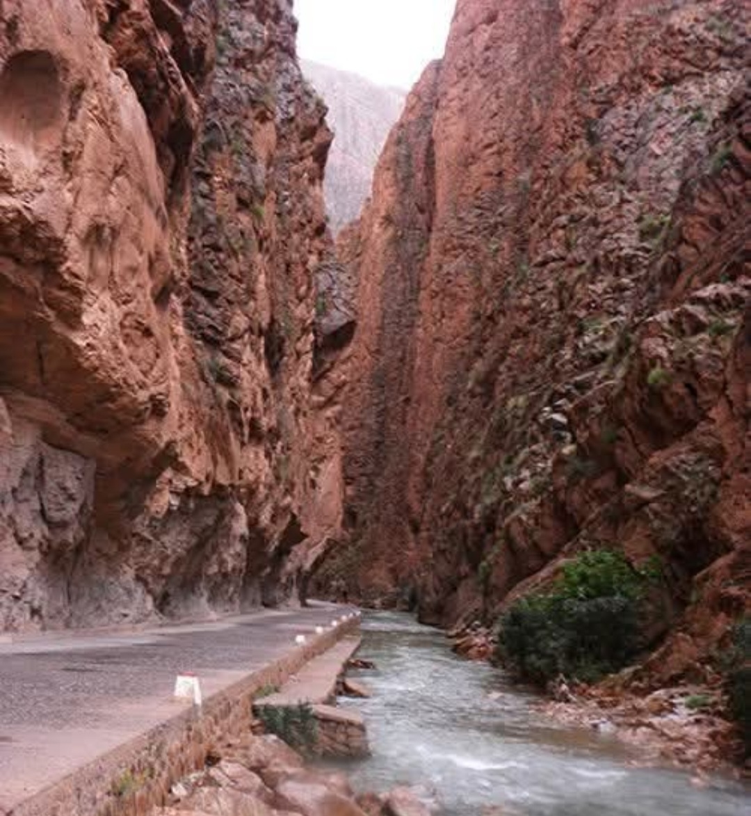 Gole del Dadès | GORGE DU DADES 5 GOLE DEL DADES 5