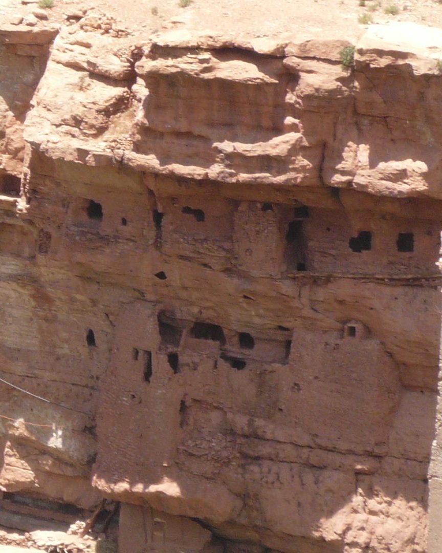 troglodytes 3 e1752473985308